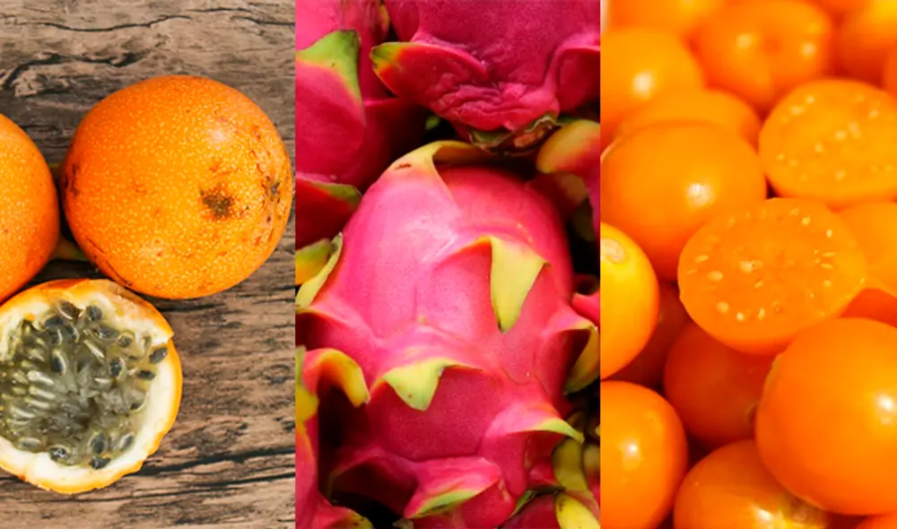 En el norte del país, cinco regiones continuaron elevando sus exportaciones gracias a la mayor oferta de productos agroindustriales y pesqueros. Foto: composición/La República En el norte del país, cinco regiones continuaron elevando sus exportaciones gracias a la mayor oferta de productos agroindustriales y pesqueros. Foto: composición/La República