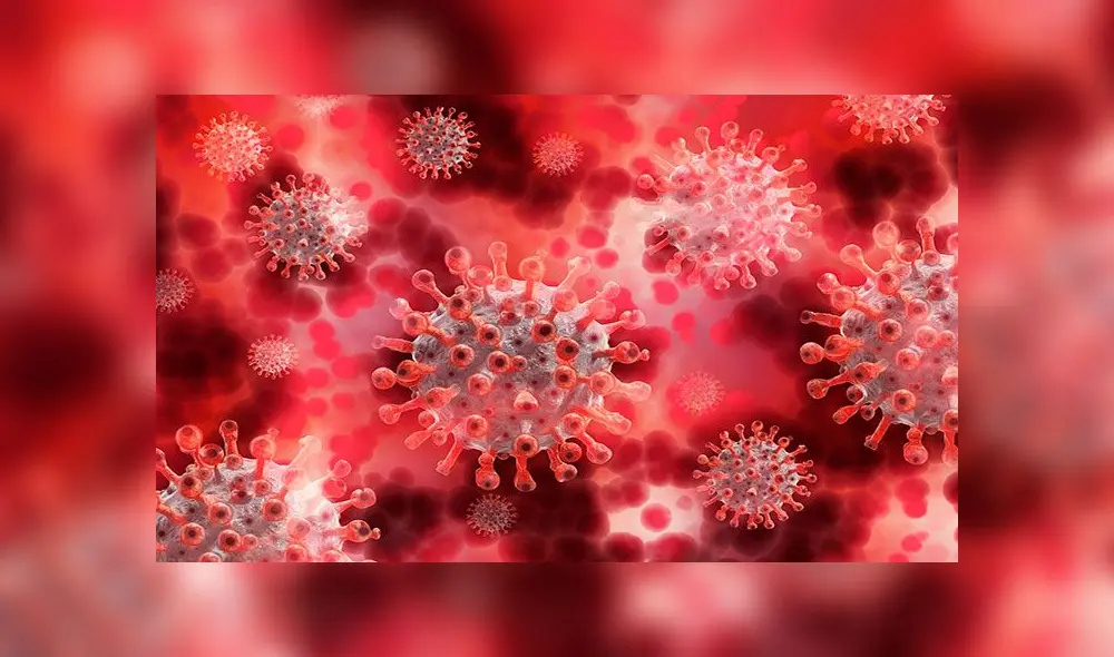 El coronavirus SARS-CoV-2 entra en las células humanas al unirse con la glicoproteína ACE2. Foto: difusión