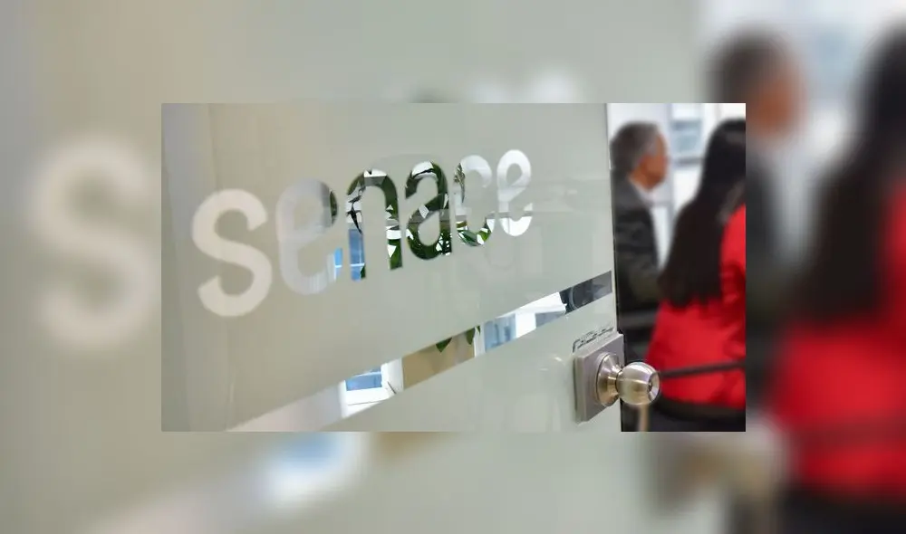 Senace cuenta en total con 123 evaluadores en diversas disciplinas en los campos legal, de ingeniería y ciencias sociales. Foto: difusión