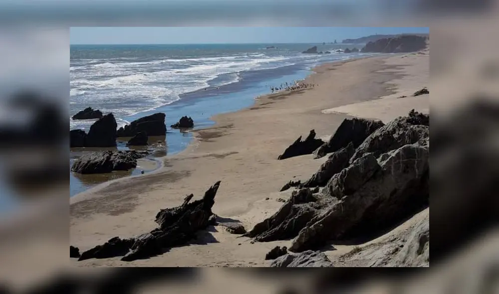 Illescas cuenta con diversidad de especies terrestres y marinas. Foto: La República