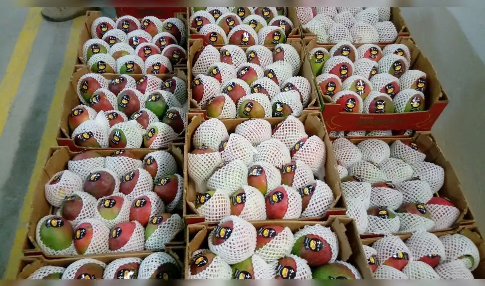 Piura sigue exportando mango a otros paises. Foto: Minagri