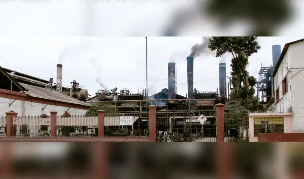 Celinda Ortiz aseveró que los intereses económicos afectaron el desarrollo de las empresas azucareras. Foto: La República