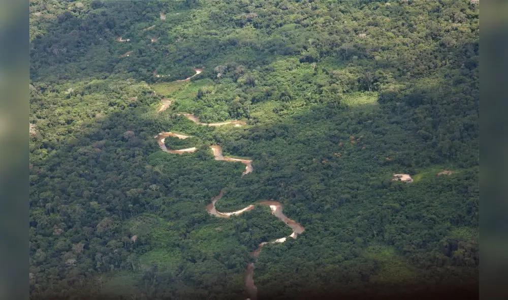 El estudio incluyó a 1.047 personas, de las cuales 309 (31%) eran niños menores de 12 años. Foto: difusión El estudio incluyó a 1.047 personas, de las cuales 309 (31%) eran niños menores de 12 años. Foto: difusión