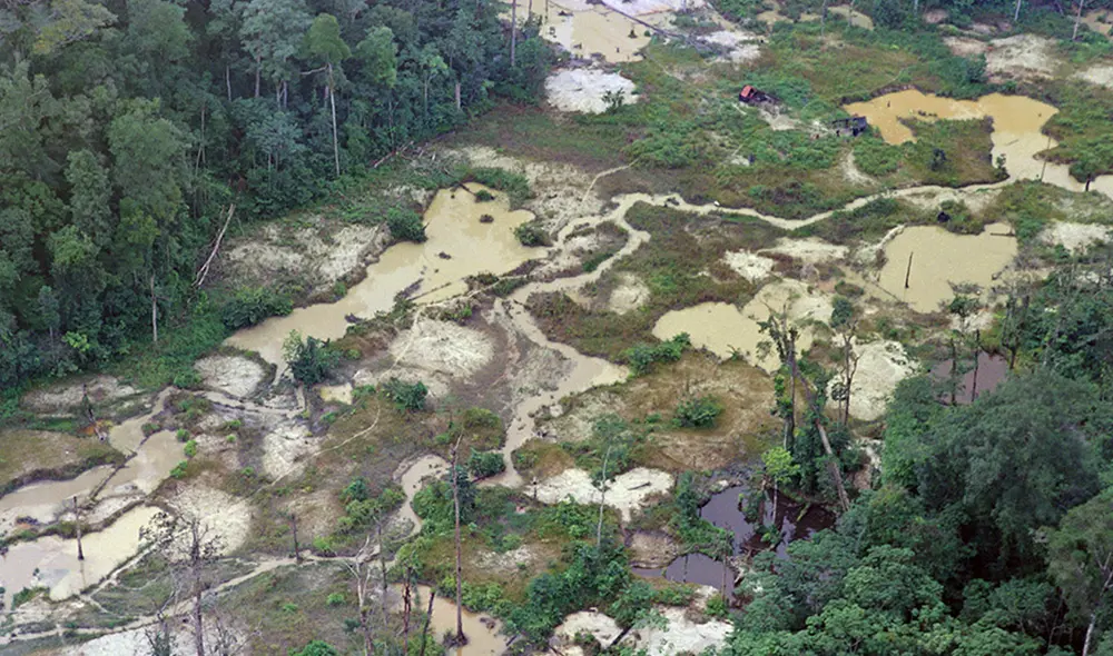Amazonia pierde millones de toneladas de carbono debido a la deforestación. Foto: AFP Amazonia pierde millones de toneladas de carbono debido a la deforestación. Foto: AFP