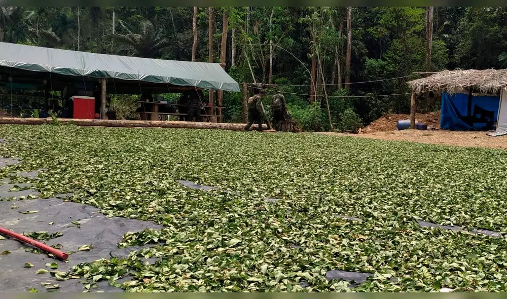 Ministerio Público dispuso internar los cadáveres en la morgue de Pichari. Foto referencial / FEM Ministerio Público dispuso internar los cadáveres en la morgue de Pichari. Foto referencial / FEM