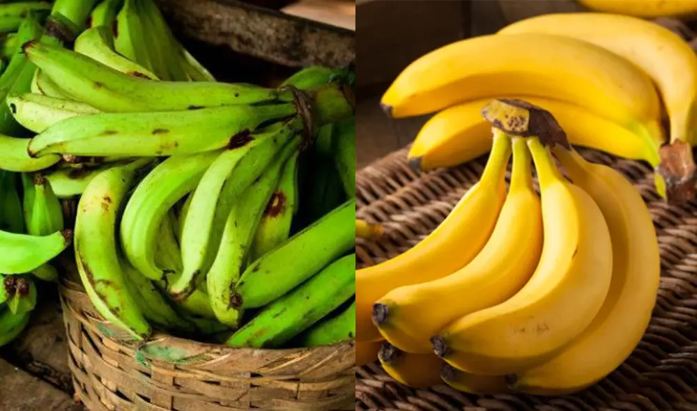 Colombia y Ecuador, son dos de los más grandes exportadores de banano en el mundo. Foto: captura en web Vix y Cocina delirante. Colombia y Ecuador, son dos de los más grandes exportadores de banano en el mundo. Foto: captura en web Vix y Cocina delirante.