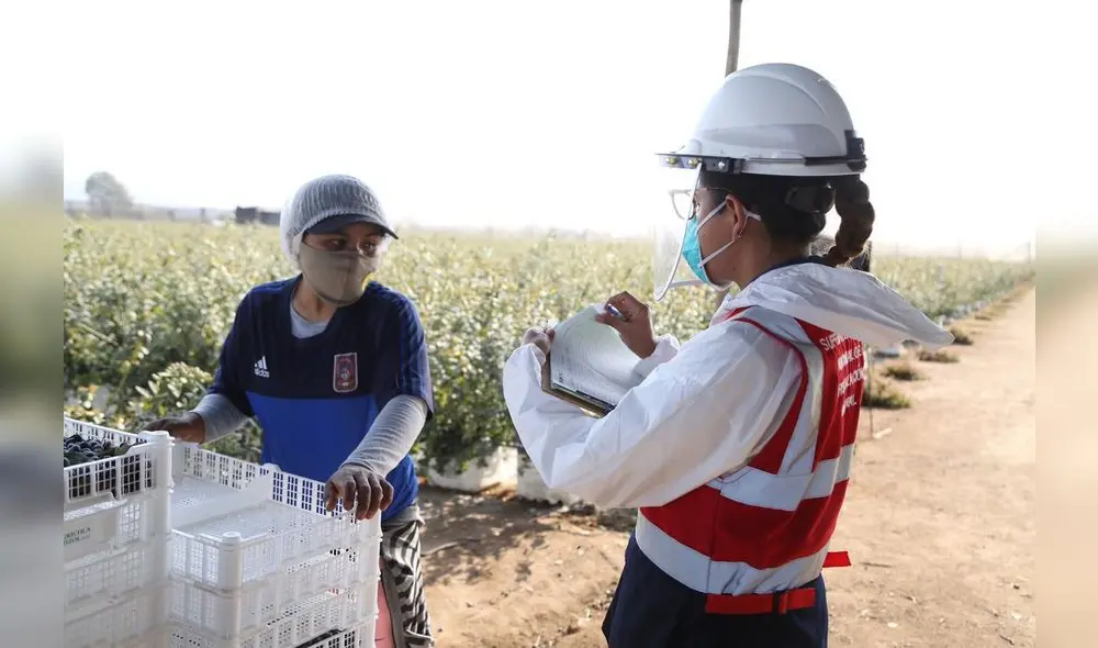 Con dicha información, la Sunafil los convoca, para que puedan absolver sus interrogantes, con un especialista en la materia. Foto: Sunafil