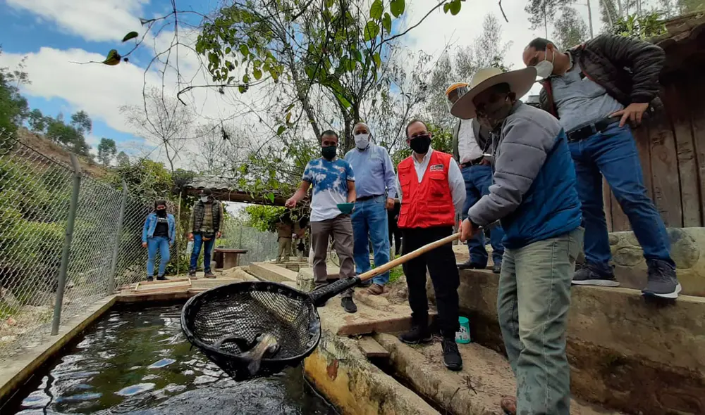 El Gobierno Regional de Cajamarca, a través de la Dirección Regional de Producción, desarrollará el II Congreso Internacional de Acuicultura, vía virtual, el 26 y 27 de noviembre de 2020, con la finalidad de mostrar que nuestra región está en un nivel técnico alto, fortalecer las capacidades de los productores y aliados del sector y poner en los ojos del mundo la producción y emprendimientos acuícolas de Cajamarca. El Gobierno Regional de Cajamarca, a través de la Dirección Regional de Producción, desarrollará el II Congreso Internacional de Acuicultura, vía virtual, el 26 y 27 de noviembre de 2020, con la finalidad de mostrar que nuestra región está en un nivel técnico alto, fortalecer las capacidades de los productores y aliados del sector y poner en los ojos del mundo la producción y emprendimientos acuícolas de Cajamarca.