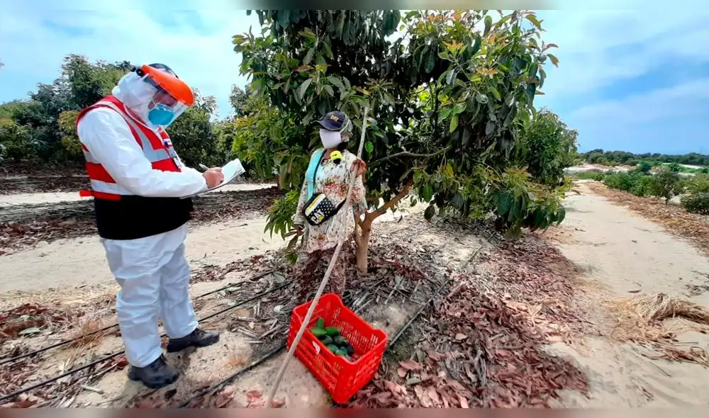 Los inspectores sortearon distintas geografías, climas, caminos de trocha y fluviales, para conocer de cerca, a los trabajadores en cada una de estas localidades. Foto: MTPE