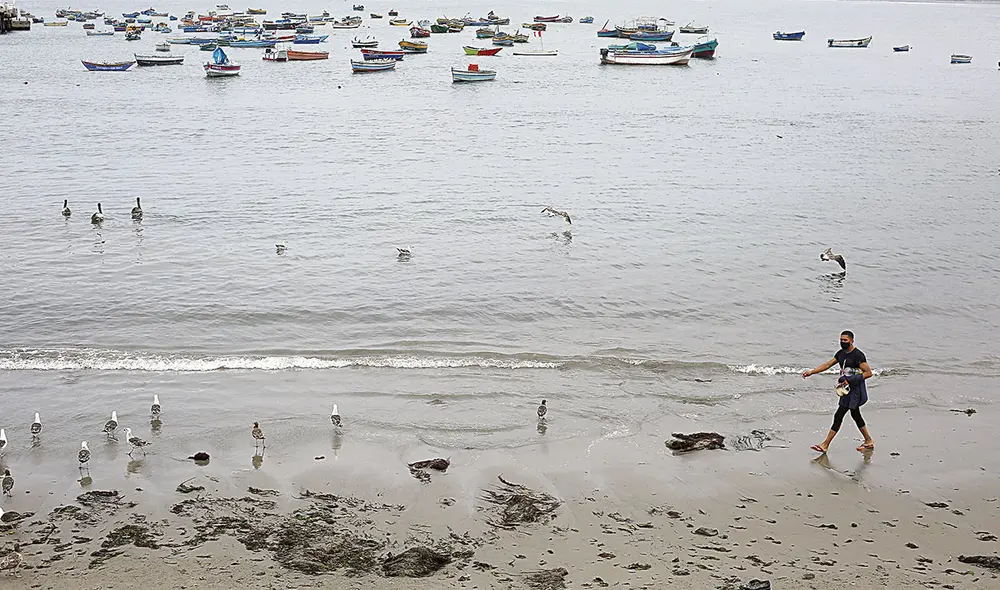 Aire puro. Lo que sí está permitido
es caminar por la orilla del mar. Es
más, se recomienda hacerlo por
tratarse de un espacio abierto,
libre de contaminación de cualquier
tipo. Foto: Marco Cotrina/La República