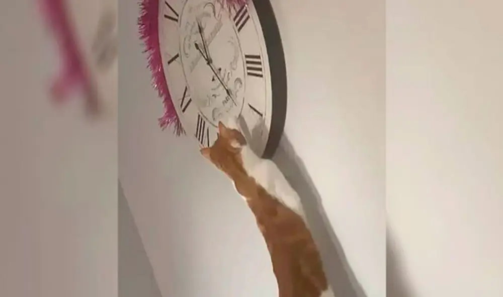 Desliza las imágenes para ver la travesura que cometió una gatita al manipular a escondidas las manecillas de un reloj. Foto: captura de Facebook Desliza las imágenes para ver la travesura que cometió una gatita al manipular a escondidas las manecillas de un reloj. Foto: captura de Facebook