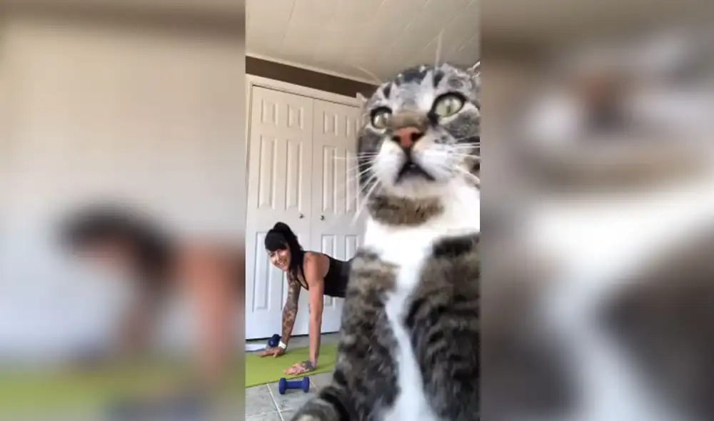 Desliza las imágenes para conocer más detalles sobre este gracioso episodio. Foto: captura de YouTube