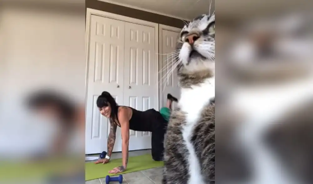 Desliza las imágenes para conocer más detalles sobre este gracioso episodio. Foto: captura de YouTube