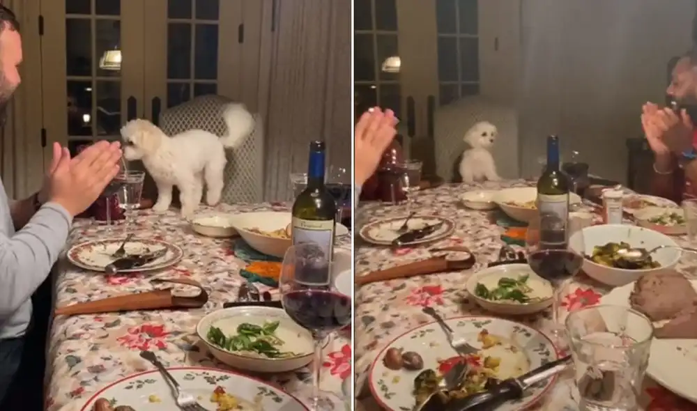Desliza las imágenes para ver más detalles sobre esta tierna escena que se hizo viral en redes. Foto: captura de TikTok Desliza las imágenes para ver más detalles sobre esta tierna escena que se hizo viral en redes. Foto: captura de TikTok