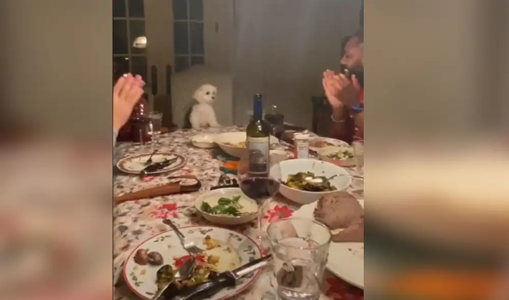 Desliza las imágenes para ver más detalles sobre esta tierna escena que se hizo viral en redes. Foto: captura de TikTok Desliza las imágenes para ver más detalles sobre esta tierna escena que se hizo viral en redes. Foto: captura de TikTok