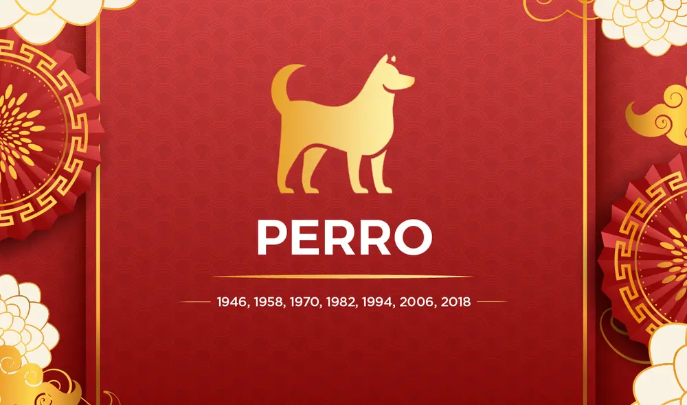 El perro se caracteriza por ser honesto, juguetón y bondadoso. Foto: composición LR El perro se caracteriza por ser honesto, juguetón y bondadoso. Foto: composición LR