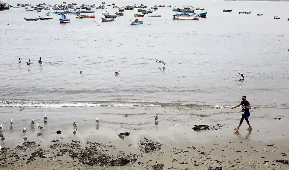 Uso de playas se permitirá en tres regiones del norte del país. Foto: Marco Cotrina/La República Uso de playas se permitirá en tres regiones del norte del país. Foto: Marco Cotrina/La República