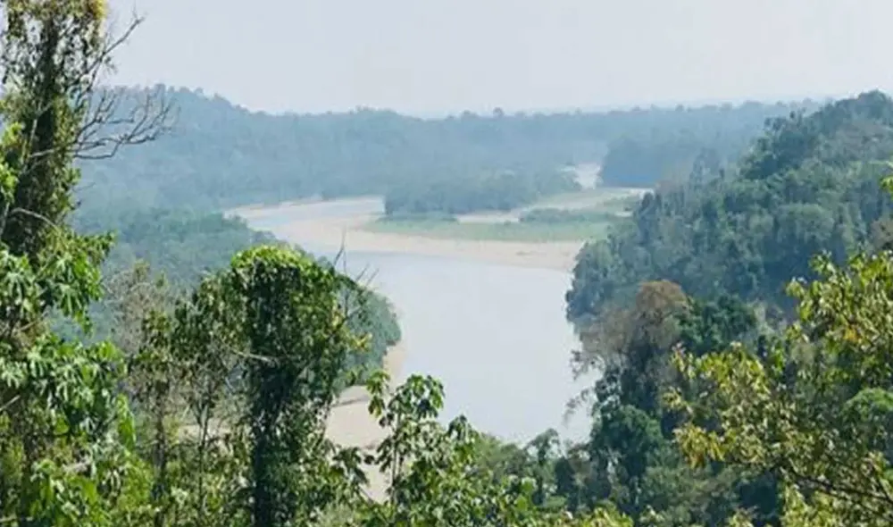 Los ecosistemas frágiles son zonas ricas en flora y fauna. Foto: cortesía/ Andina