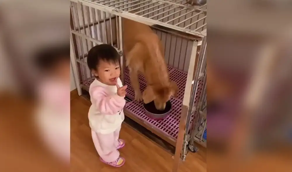 Desliza hacia la izquierda para ver más imágenes sobre esta escena que ya es viral en redes sociales. Foto: captura de TikTok