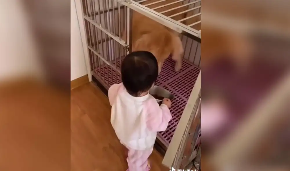 Desliza hacia la izquierda para ver más imágenes sobre esta escena que ya es viral en redes sociales. Foto: captura de TikTok