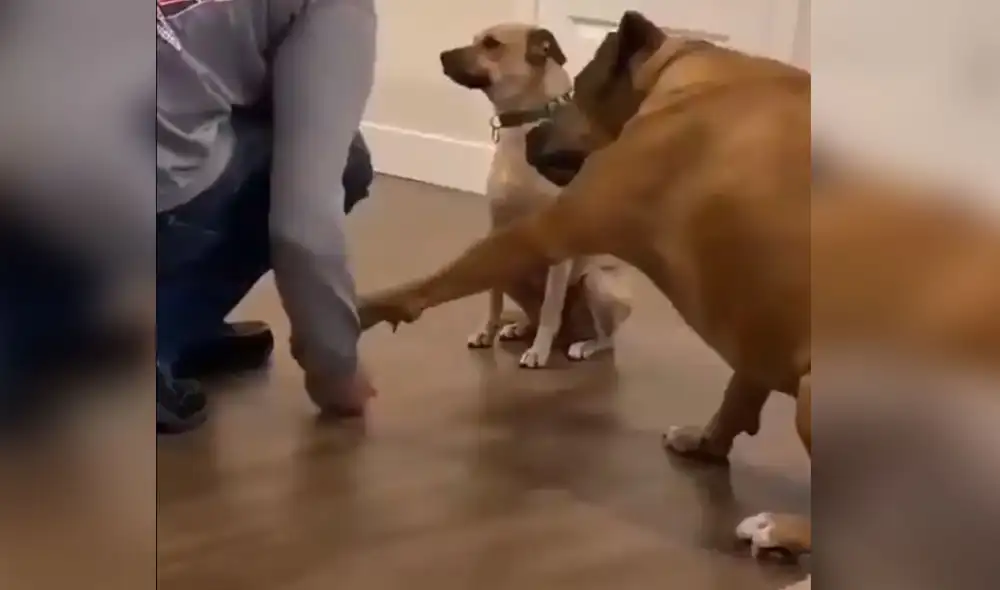 Desliza hacia la izquierda para ver más detalles sobre esta escena que ya es viral en redes sociales. Foto: captura de YouTube Desliza hacia la izquierda para ver más detalles sobre esta escena que ya es viral en redes sociales. Foto: captura de YouTube