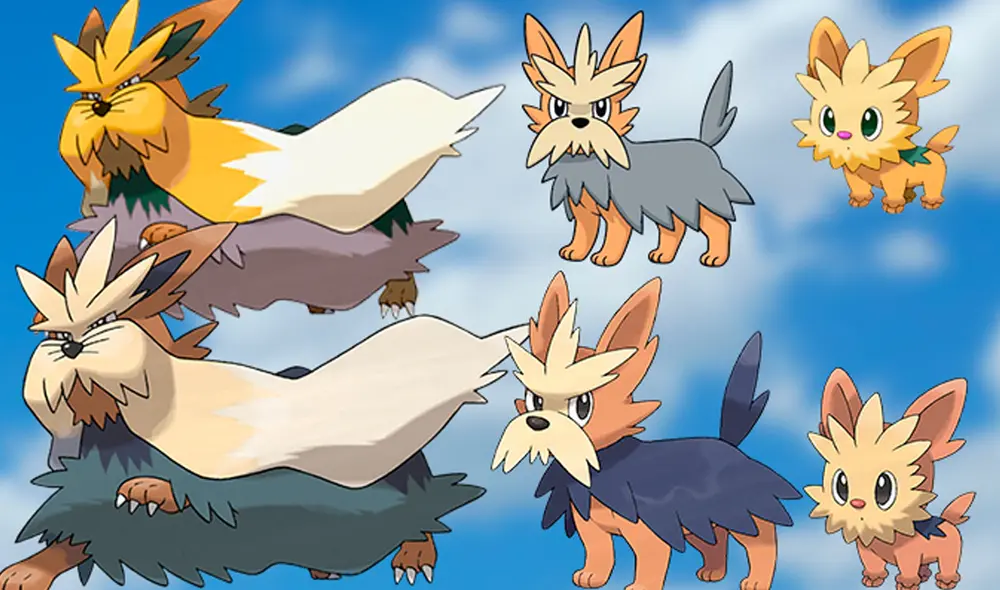 Lillipup está basado en un pequeño cachorrito de la raza Yorkshire terrier. Foto: Pokédex Lillipup está basado en un pequeño cachorrito de la raza Yorkshire terrier. Foto: Pokédex