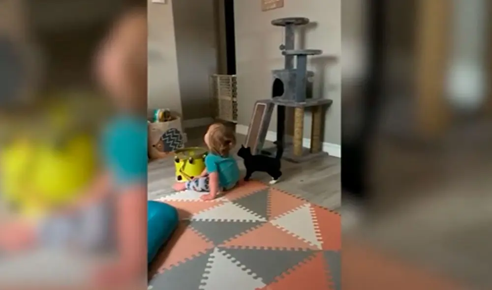 Desliza las imágenes para apreciar la curiosa acción de un gato al notar la presencia del menor hijo de su dueña. Foto: Caters Clips