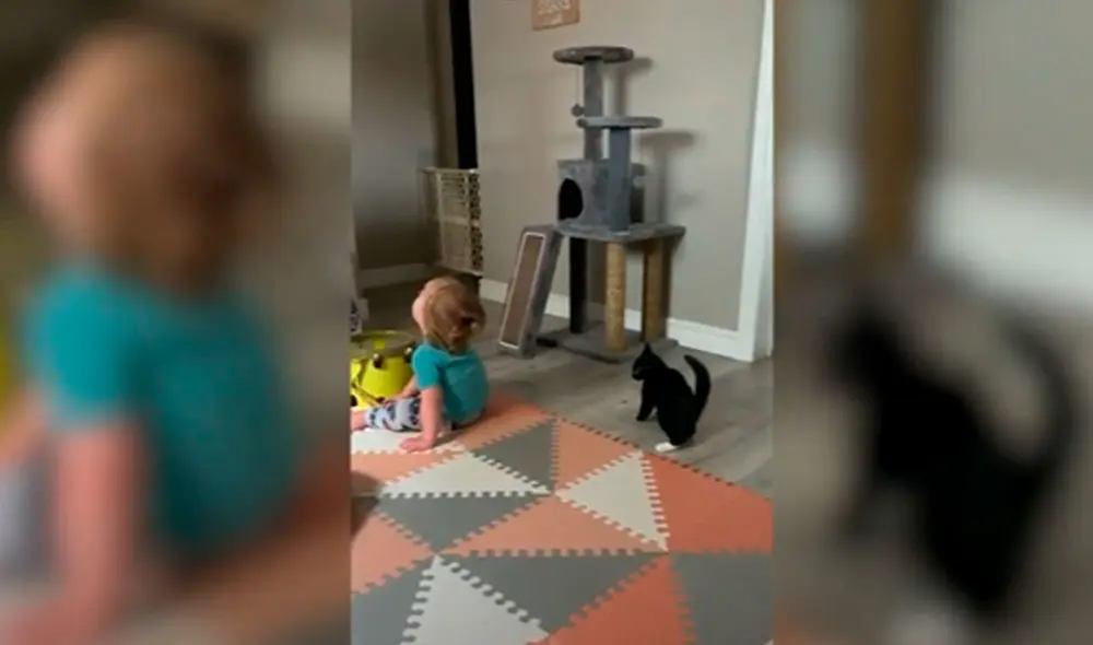 Desliza las imágenes para apreciar la curiosa acción de un gato al notar la presencia del menor hijo de su dueña. Foto: Caters Clips