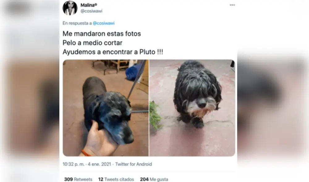 Desliza las imágenes para ver más detalles sobre esta historia que se hizo viral en redes sociales. Foto: @cosiwawi / Twitter
