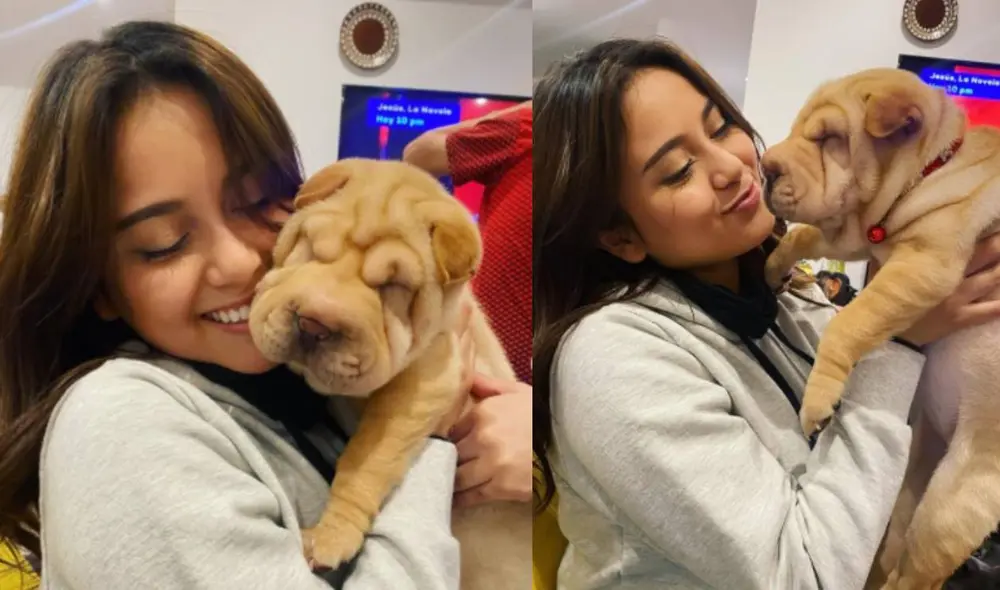 La salsera está feliz con su nueva perrita. Amy Gutiérrez/Instagram La salsera está feliz con su nueva perrita. Amy Gutiérrez/Instagram