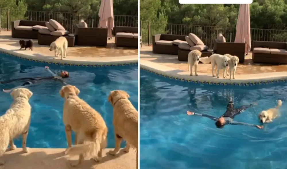 Desliza hacia la izquierda para ver las imágenes del video viral. Foto: captura de Facebook.