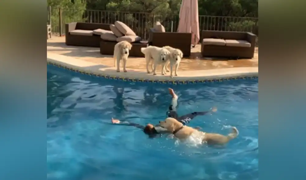 Desliza hacia la izquierda para ver las imágenes del video viral. Foto: captura de Facebook.