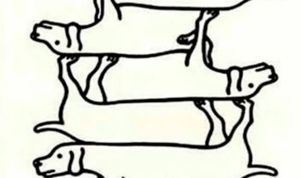 Desliza las imágenes para enterarte sobre la respuesta correcta de este reto visual que casi nadie consiguió superar. Foto: Milenio