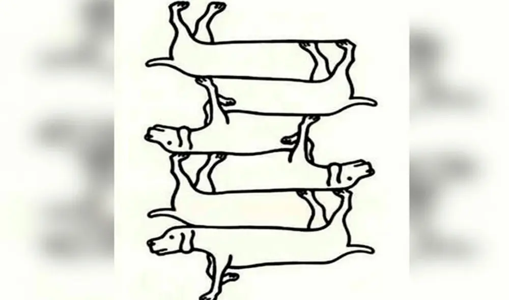 Desliza las imágenes para enterarte sobre la respuesta correcta de este reto visual que casi nadie consiguió superar. Foto: Milenio