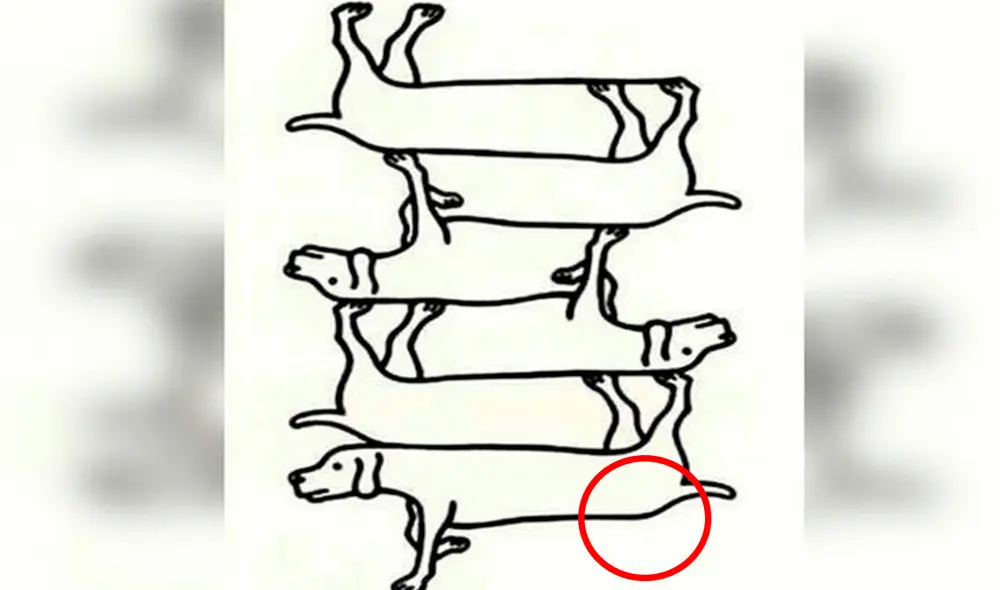 Desliza las imágenes para enterarte sobre la respuesta correcta de este reto visual que casi nadie consiguió superar. Foto: Milenio