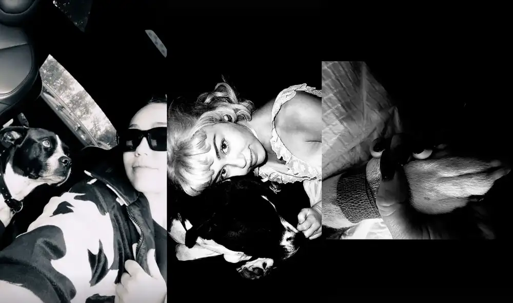 Miley Cyrus expresó toda la tristeza que siente por la muerte de su mascota Mery Jane en una canción que compuso en su honor. Foto: Miley Cyrus Instagram