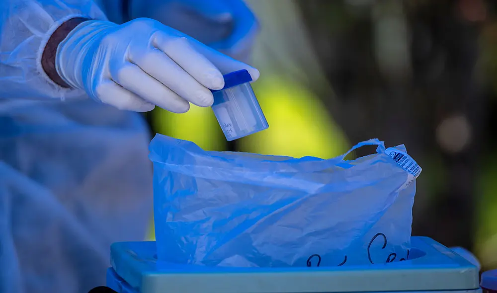 Estudios genómicos realizados por Colombia dieron con este nuevo linaje, al tiempo que corroboraron que la variante británica no se encuentra hasta ahora en su territorio. Foto: AFP