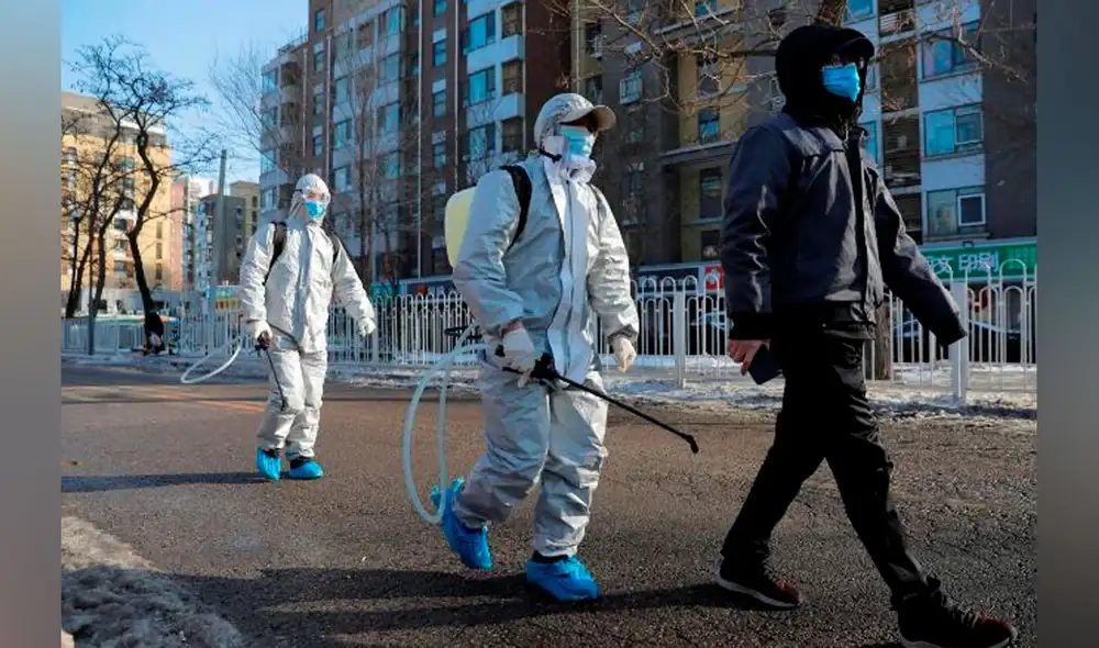 El objetivo es encontrar el posible origen animal del SARS-CoV-2 y sus canales de transmisión al ser humano. Foto: EFE