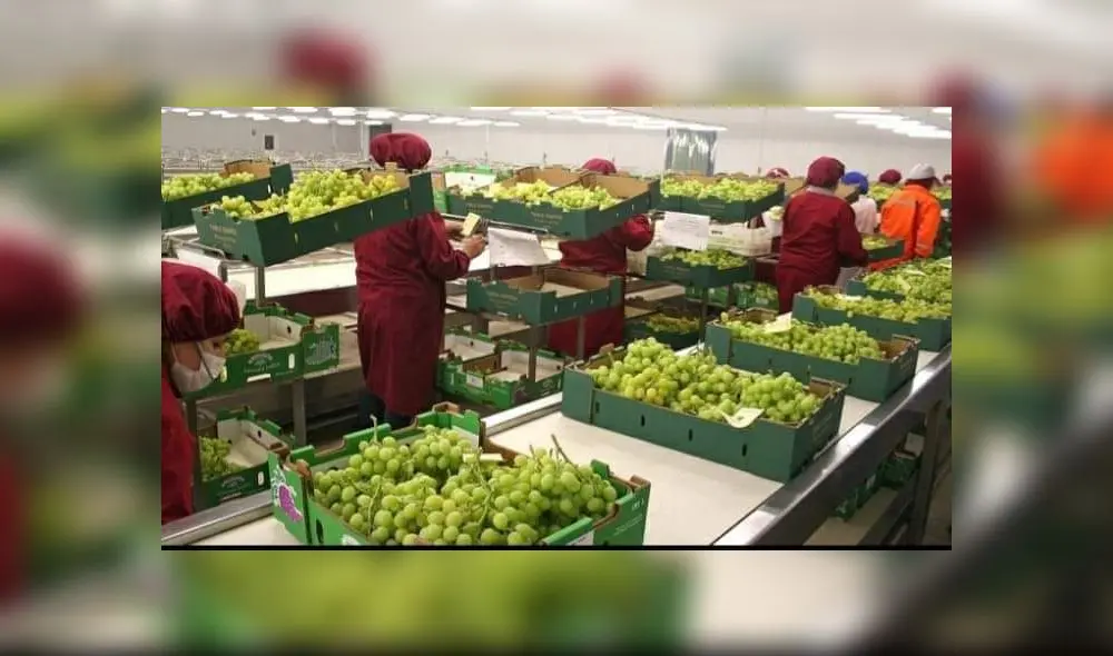 Trabajadores piden una inspección para garantizar medidas de seguridad. Foto: difusión Trabajadores piden una inspección para garantizar medidas de seguridad. Foto: difusión