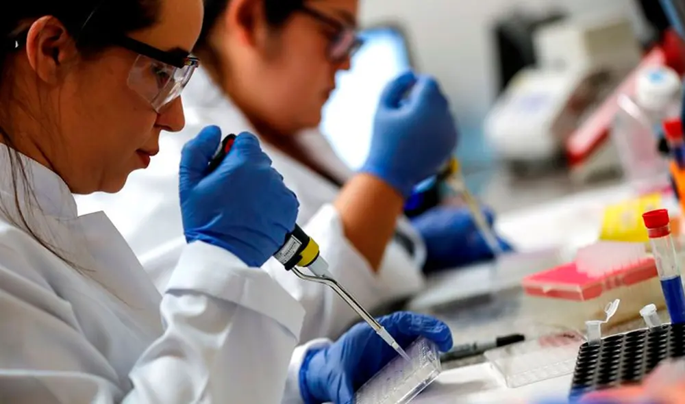 Otra variante detectada en Sudáfrica, llamada 501Y.V2, comunicada el 18 de diciembre, está presente ahora en 20 países, territorios y áreas, agregó la agencia. Foto: EFE