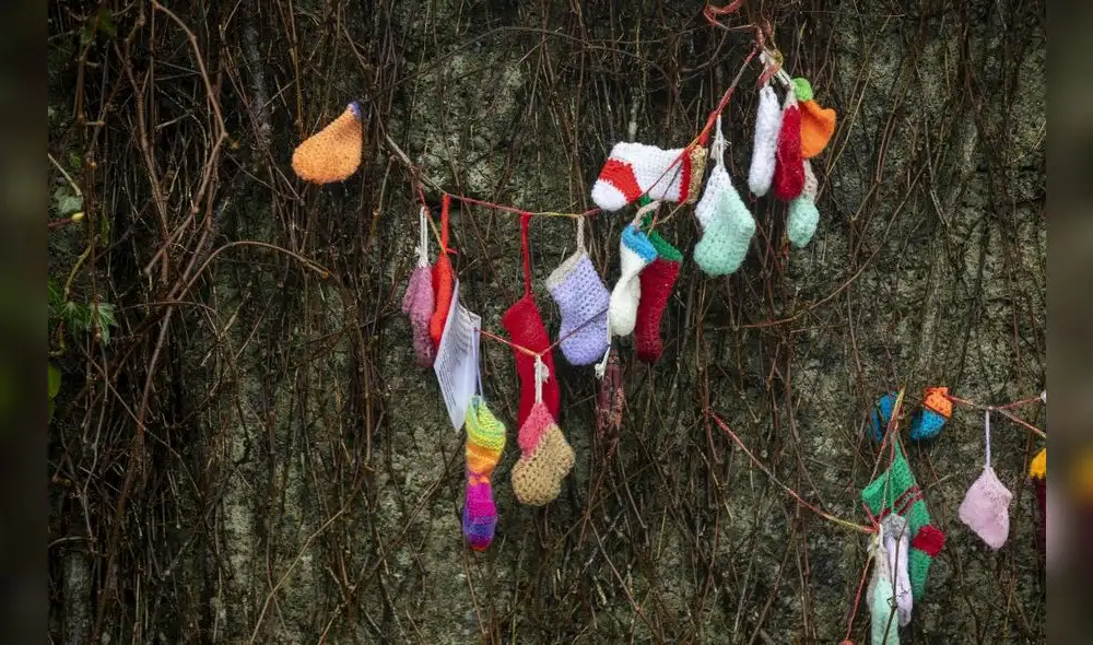 La investigación se abrió en 2015 a raíz del trabajo de la historiadora Catherine Corless. Foto: AFP
