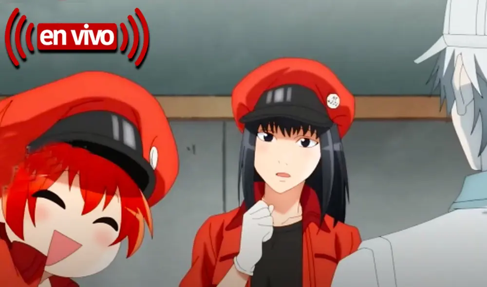Conoce más acerca de la continuación de Hataraku saibou. Foto: David Production