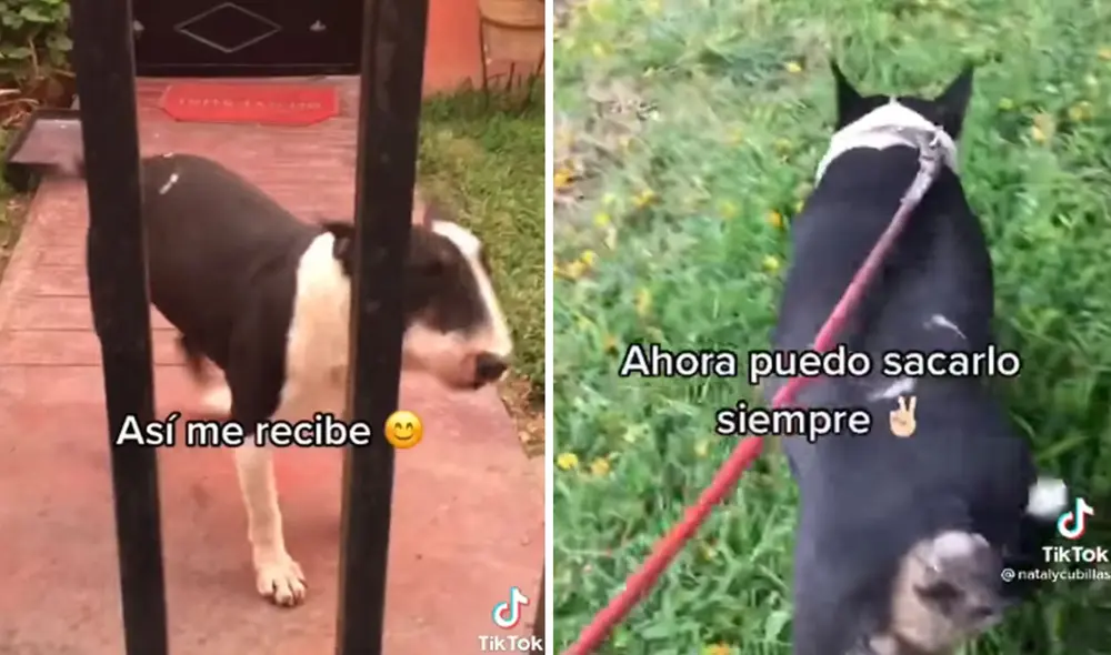 Ambos se han vuelto grandes amigos y esta joven es quien se encarga de darle sus paseos diarios. Foto: captura de Facebook