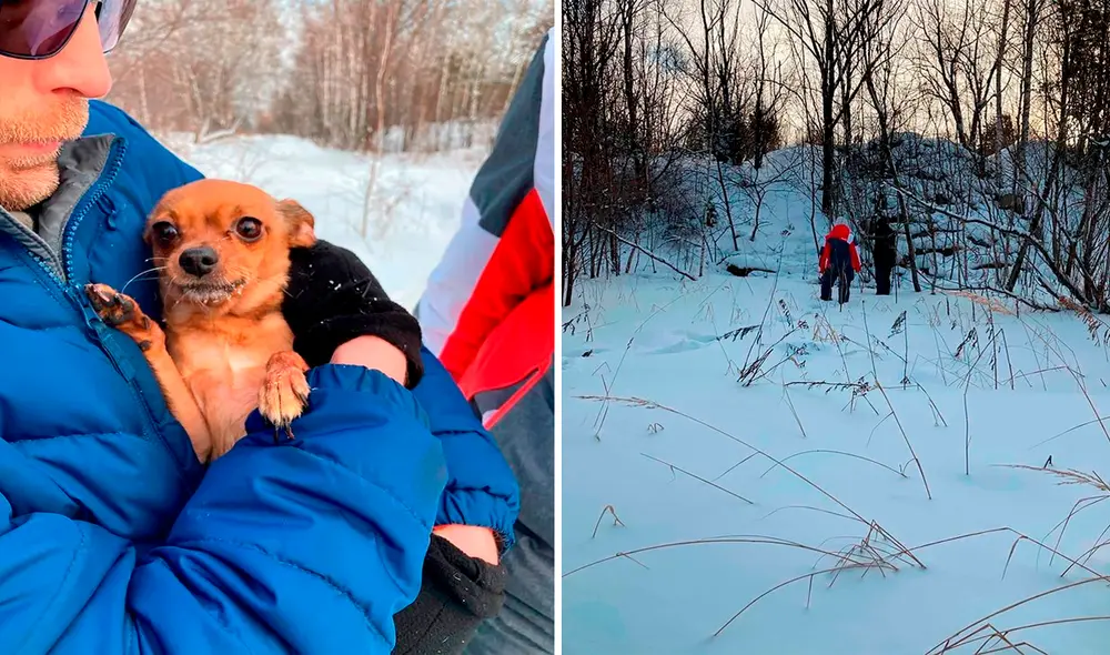 El perro no abandonó a su dueña, quien tenía tres días de fallecida en el bosque. Foto: captura de Facebook