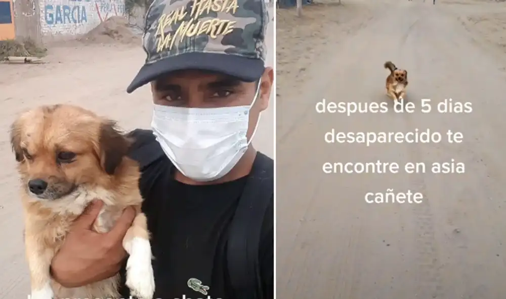 El video ha sido compartido por el peruano Huguito Rodríguez. Foto: captura de TikTok