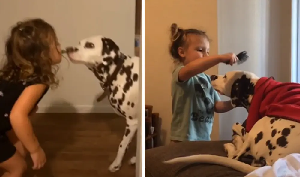 El video ha sido compartido a través de la cuenta de Katie Lynn Pierson. Foto: captura de TikTok.