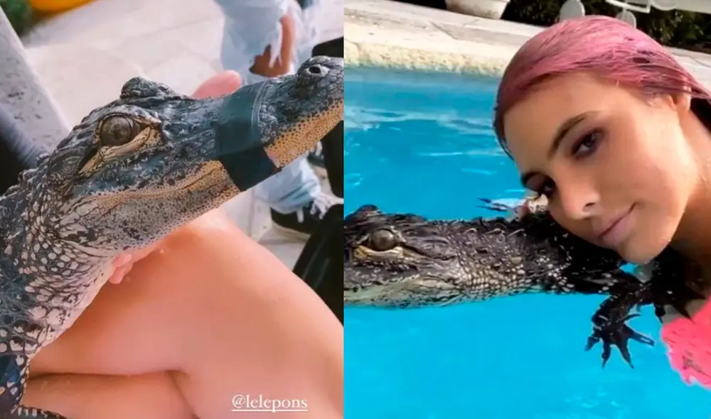 Lele Pons, Stefi Roitman y Guaynaa fueron blanco de críticas por haber nadado con un pequeño cocodrilo con el hocico amarrado. Foto: Stefi Roitman Instagram Lele Pons, Stefi Roitman y Guaynaa fueron blanco de críticas por haber nadado con un pequeño cocodrilo con el hocico amarrado. Foto: Stefi Roitman Instagram