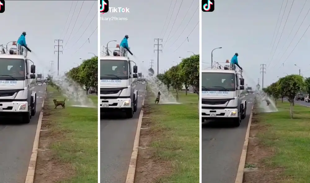 El perro no desaprovechó el momento para darse un chapuzón con el agua del camión cisterna. Foto: captura de TikTok El perro no desaprovechó el momento para darse un chapuzón con el agua del camión cisterna. Foto: captura de TikTok