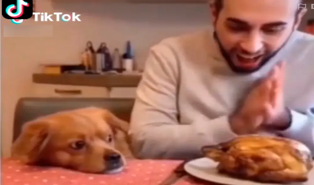 El can esperaba ansioso y muy atento por el pollo horneado, pero se enfureció al ver que algo diferente. Foto: captura de TikTok