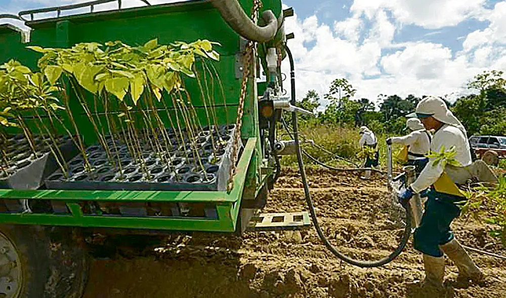 Agrolabor. La nueva ley agraria impacta en más de 500 mil trabajadores. Foto: difusión Agrolabor. La nueva ley agraria impacta en más de 500 mil trabajadores. Foto: difusión
